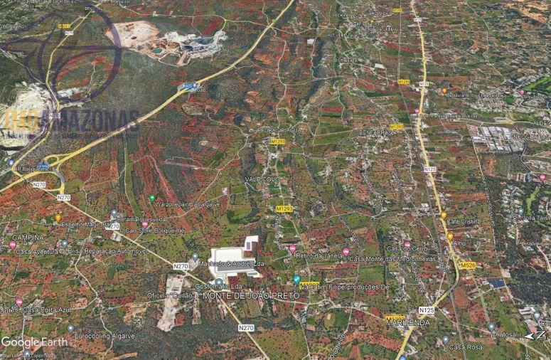 Terreno para Venda em Loule (São Clemente) Foto 8