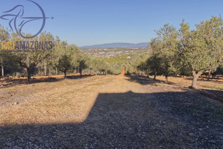 Quinta T6 para Venda em Porches Foto 9