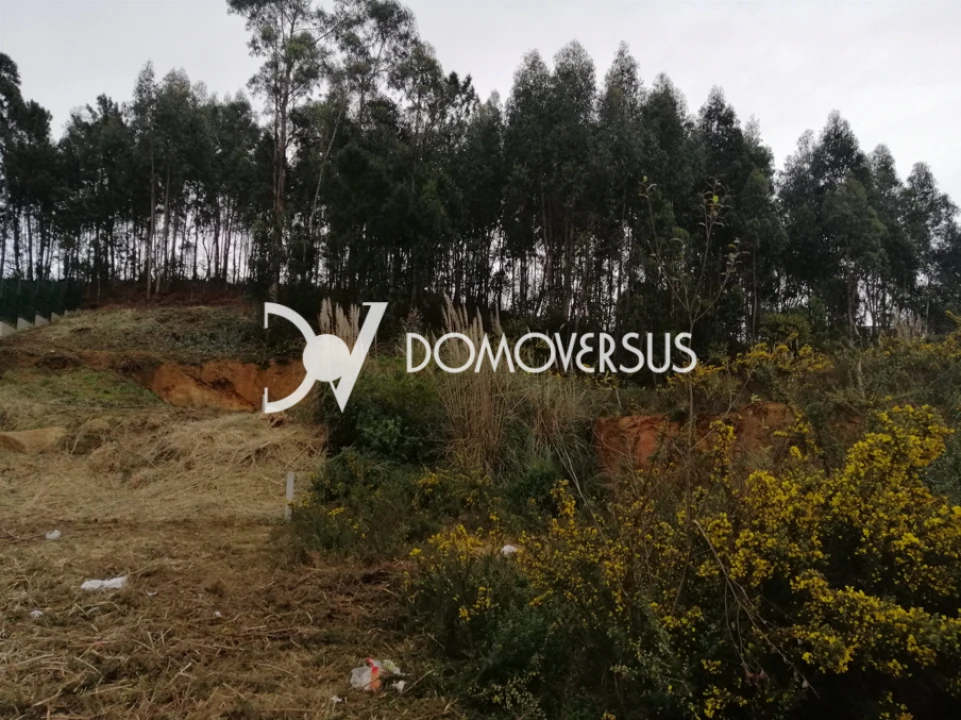 Terreno para Venda em Gulpilhares e Valadares Foto 2
