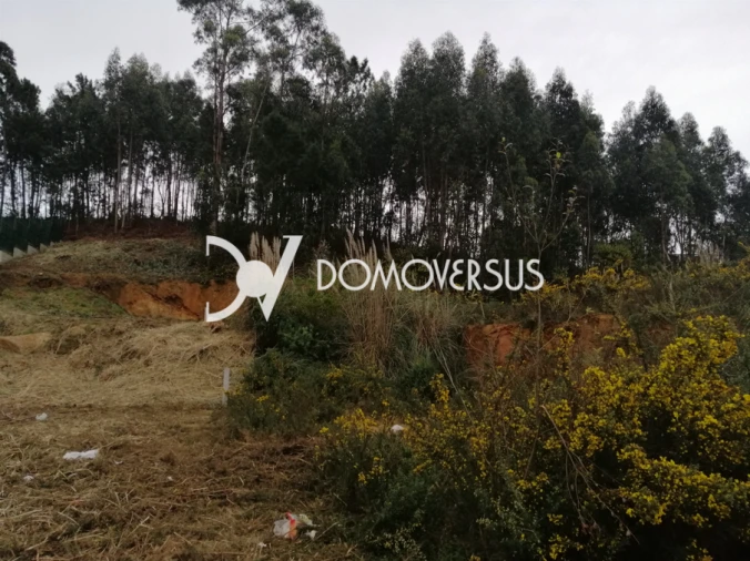 Terreno para Venda em Gulpilhares e Valadares Foto 2