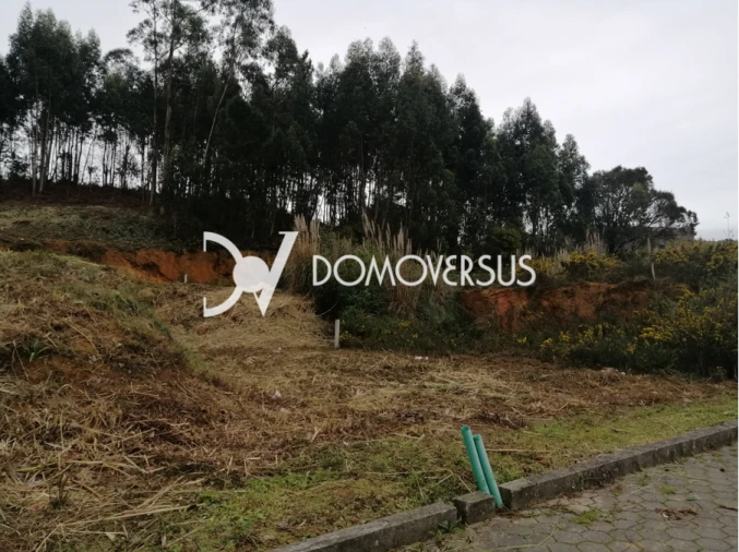 Terreno para Venda em Gulpilhares e Valadares Foto 4