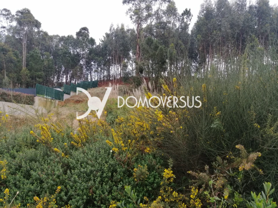 Terreno para Venda em Gulpilhares e Valadares Foto 1