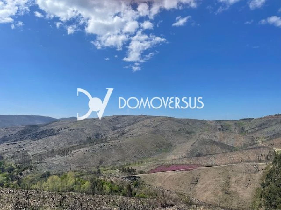 Terreno para Venda em Melres e Medas Foto 4