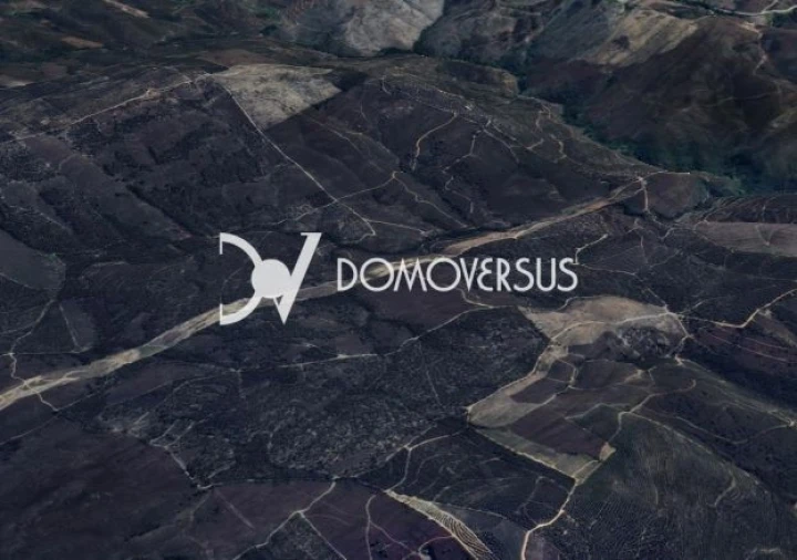 Terreno para Venda em Melres e Medas Foto 14