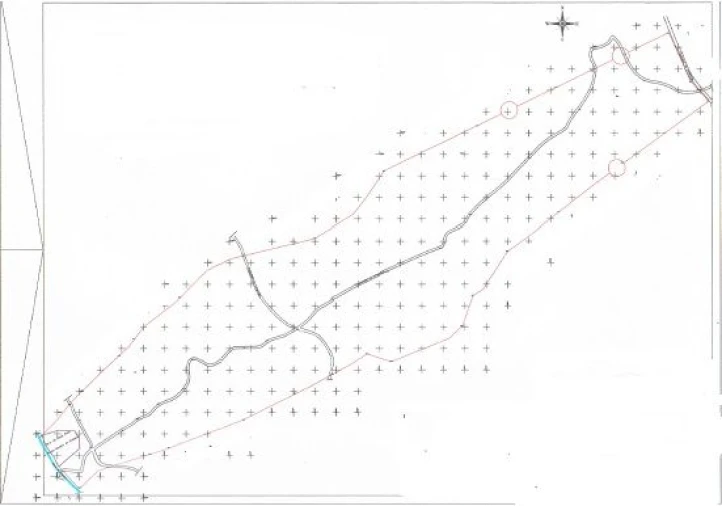 Terreno para Venda em Melres e Medas Foto 17