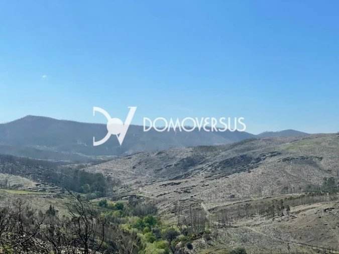 Terreno para Venda em Melres e Medas Foto 6