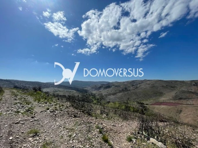 Terreno para Venda em Melres e Medas Foto 2