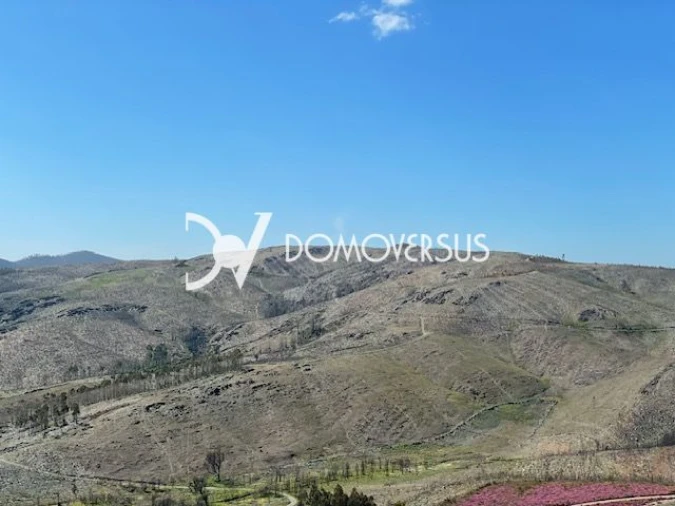 Terreno para Venda em Melres e Medas Foto 8