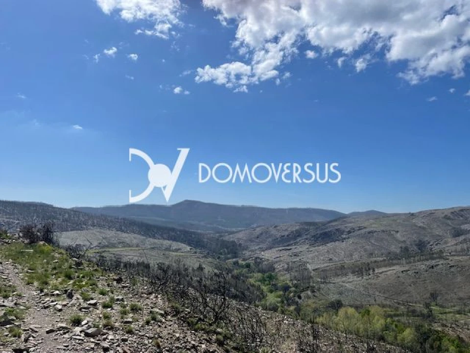 Terreno para Venda em Melres e Medas Foto 1