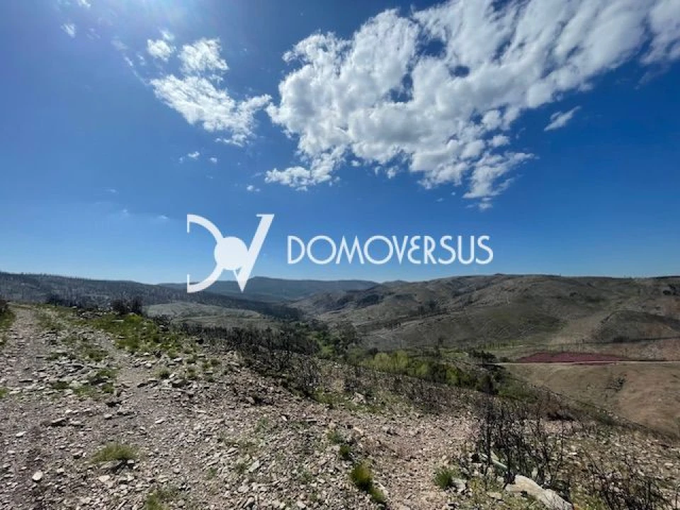 Terreno para Venda em Melres e Medas Foto 2