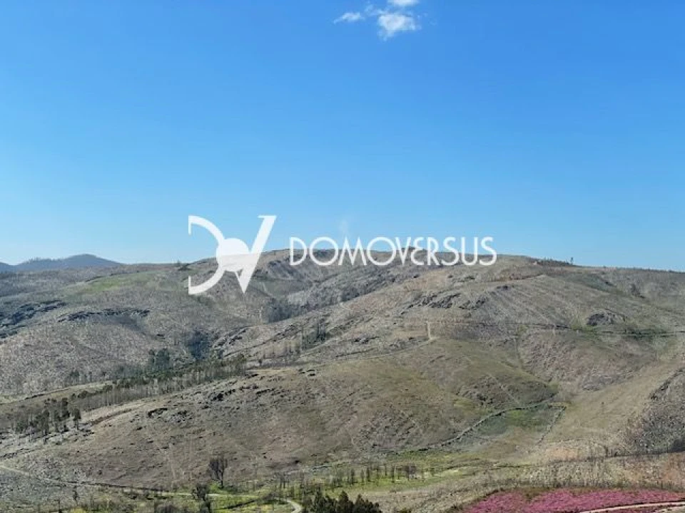 Terreno para Venda em Melres e Medas Foto 8