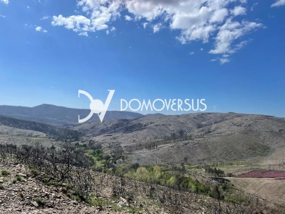 Terreno para Venda em Melres e Medas Foto 5