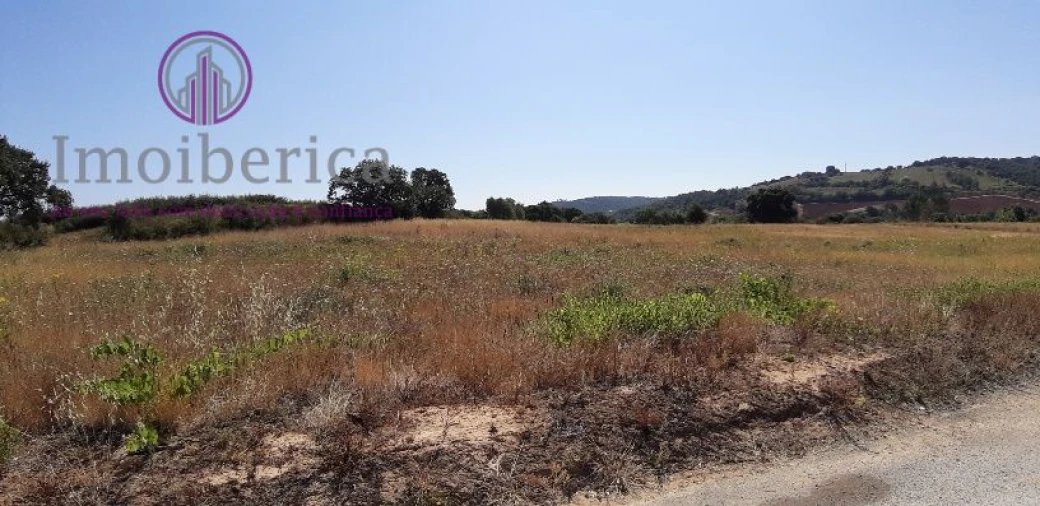 Terreno para Venda em Abrigada e Cabanas de Torres Foto 2