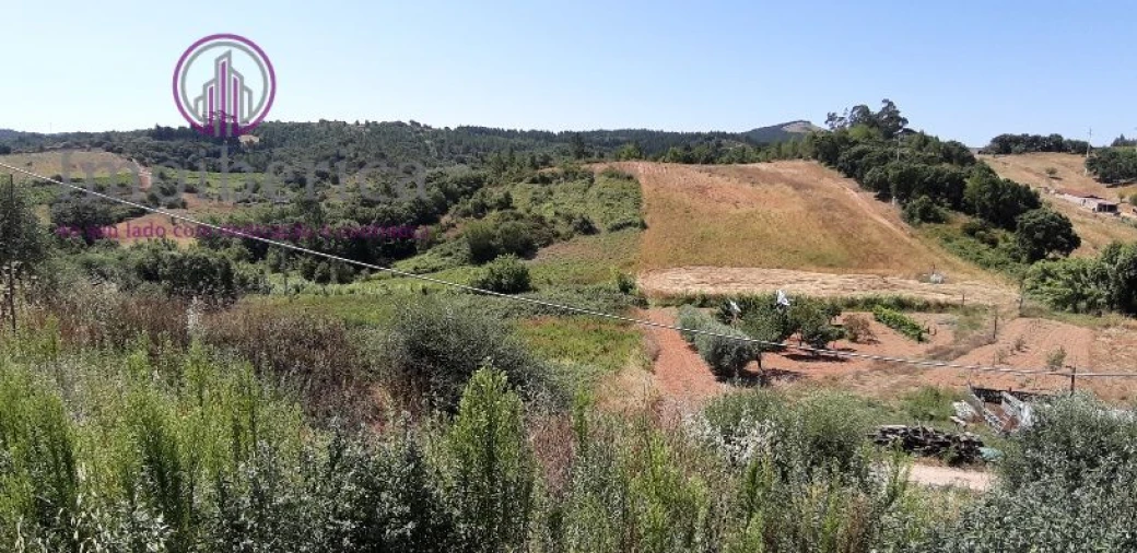 Terreno para Venda em Abrigada e Cabanas de Torres Foto 6
