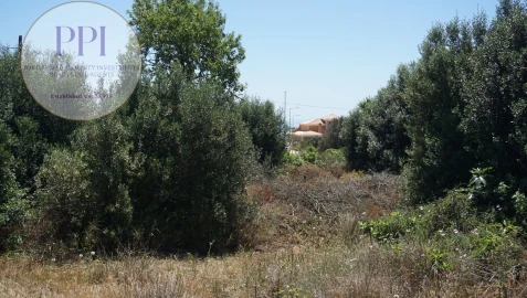 Terreno para Venda em Luz
