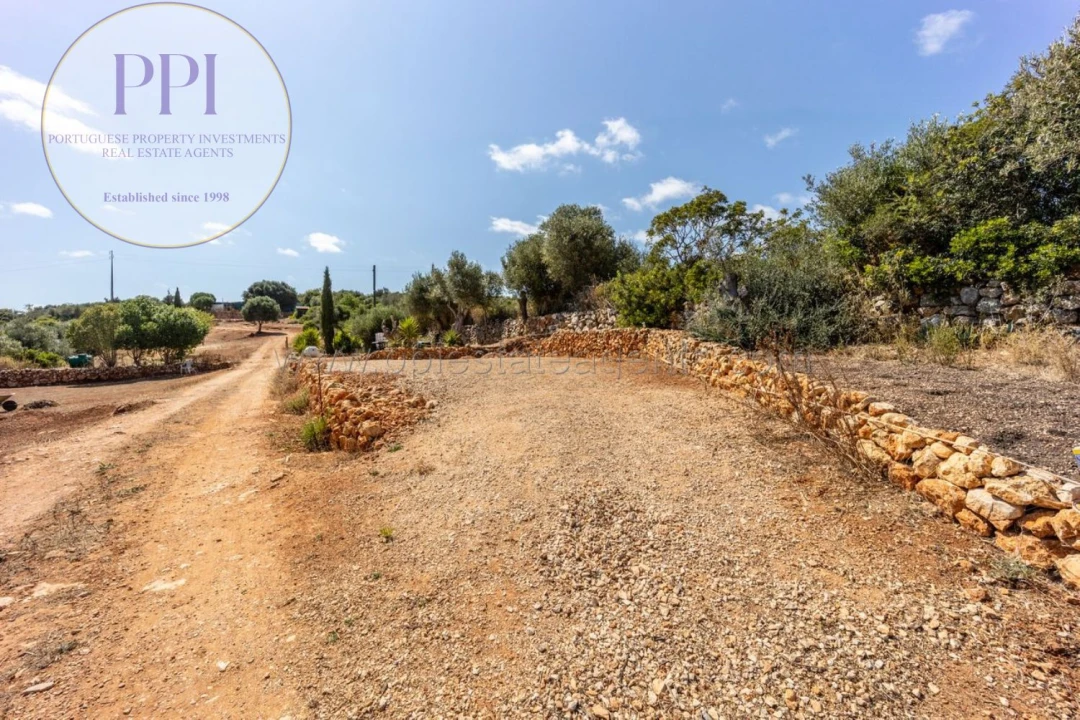 Terreno para Venda em Barão de São Miguel Foto 26