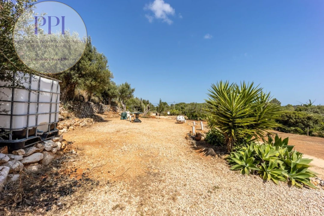 Terreno para Venda em Barão de São Miguel Foto 29