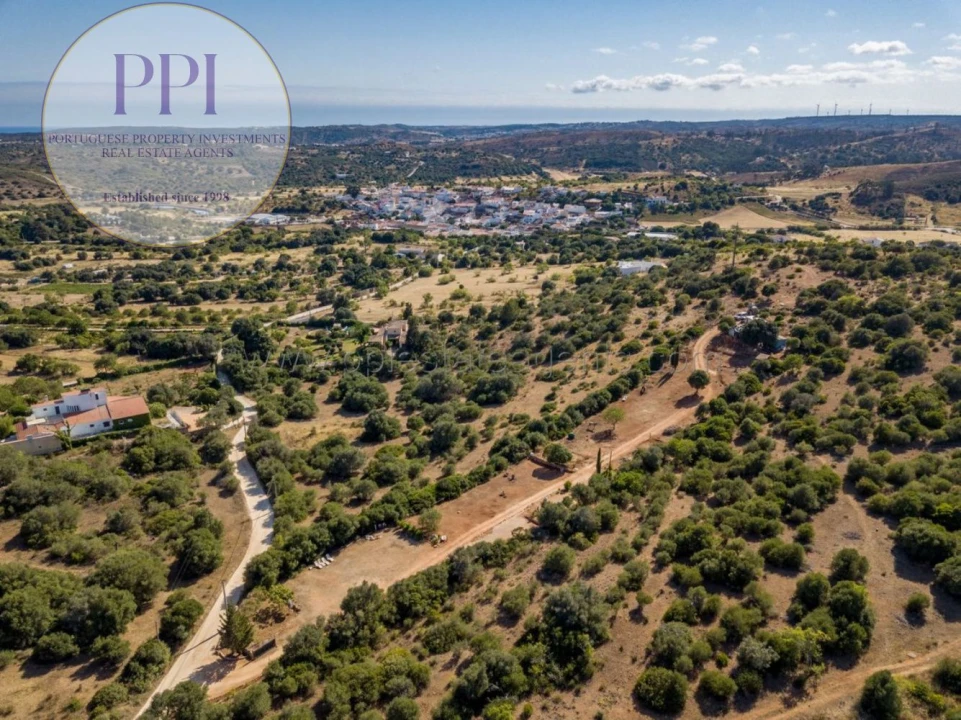 Terreno para Venda em Barão de São Miguel Foto 6