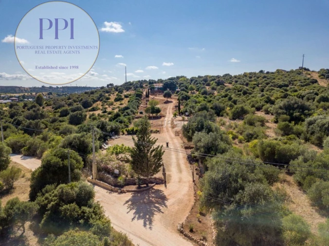 Terreno para Venda em Barão de São Miguel Foto 3