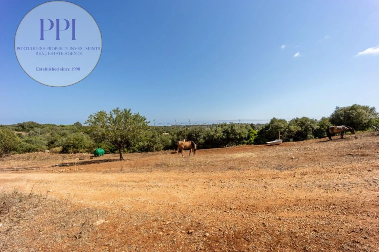 Terreno para Venda em Barão de São Miguel Foto 37