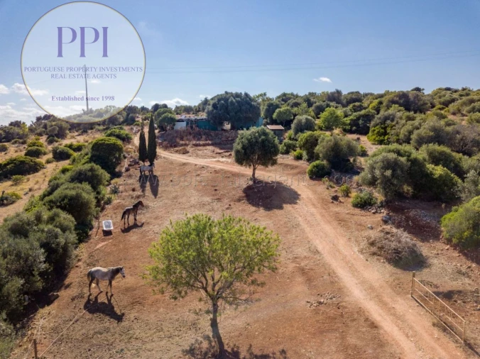 Terreno para Venda em Barão de São Miguel Foto 15