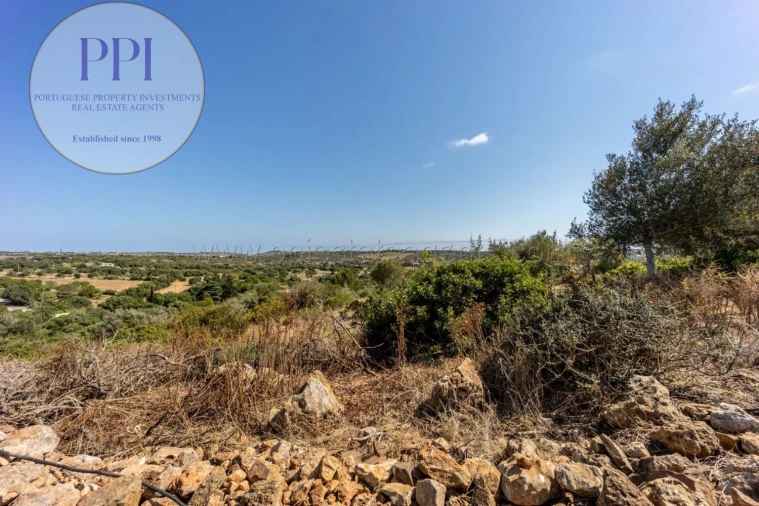 Terreno para Venda em Barão de São Miguel Foto 42