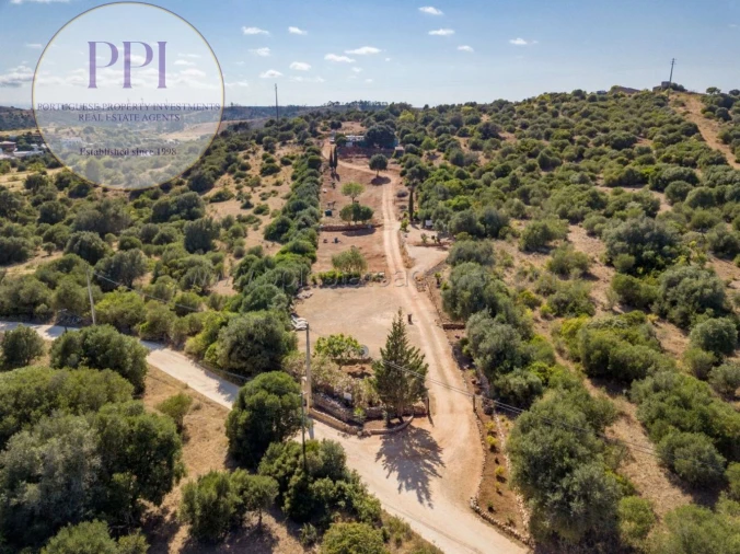 Terreno para Venda em Barão de São Miguel Foto 4