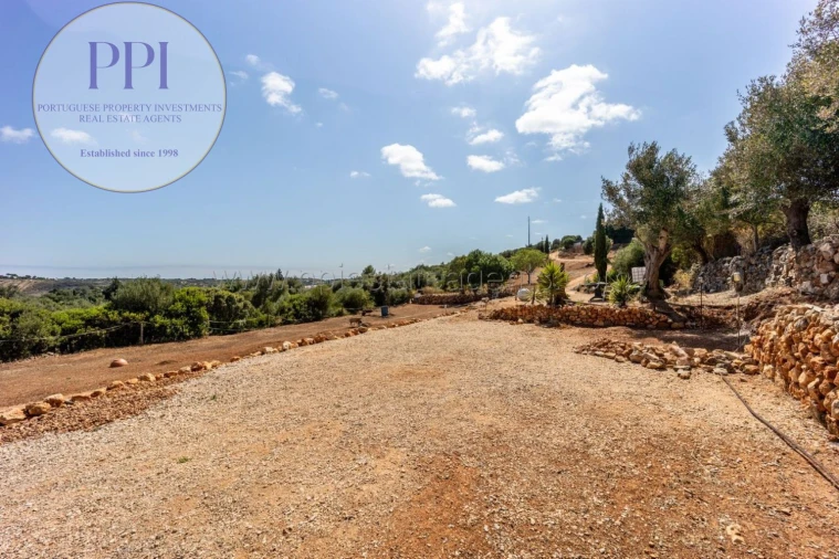 Terreno para Venda em Barão de São Miguel Foto 33