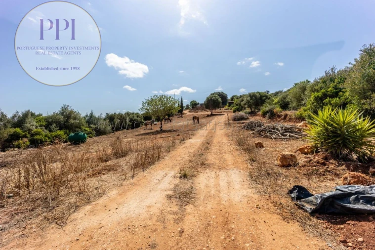 Terreno para Venda em Barão de São Miguel Foto 36