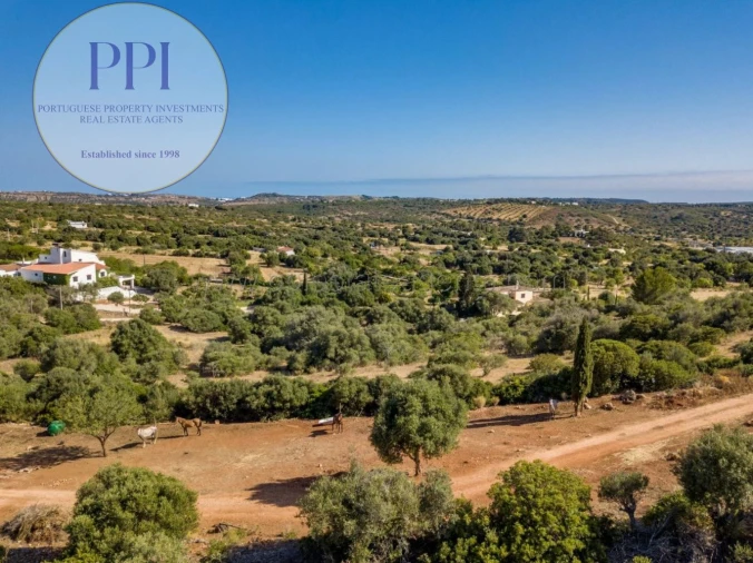 Terreno para Venda em Barão de São Miguel Foto 17