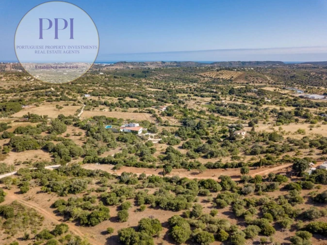 Terreno para Venda em Barão de São Miguel Foto 8