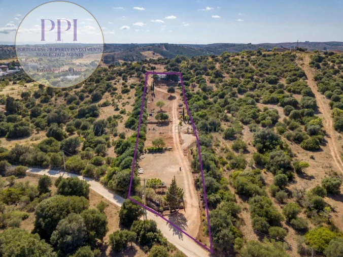 Terreno para Venda em Barão de São Miguel Foto 5