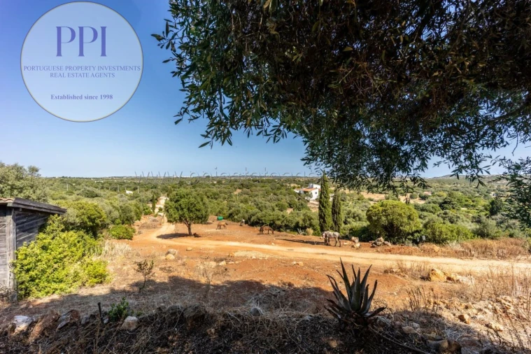 Terreno para Venda em Barão de São Miguel Foto 44