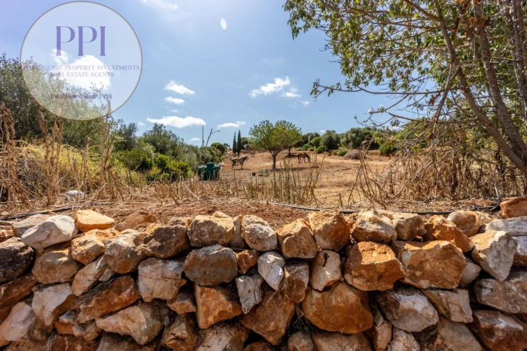 Terreno para Venda em Barão de São Miguel Foto 35