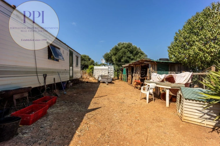 Terreno para Venda em Barão de São Miguel Foto 43