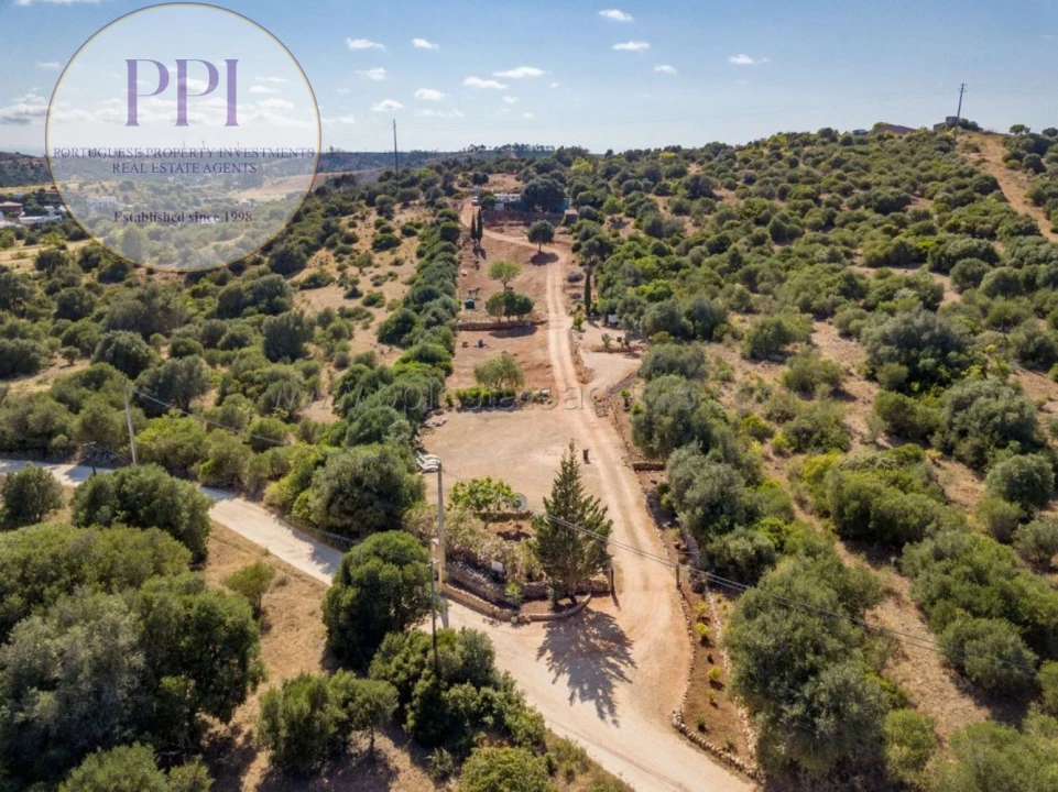 Terreno para Venda em Barão de São Miguel Foto 4