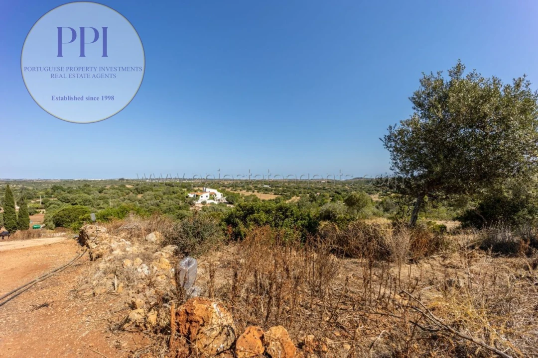 Terreno para Venda em Barão de São Miguel Foto 45