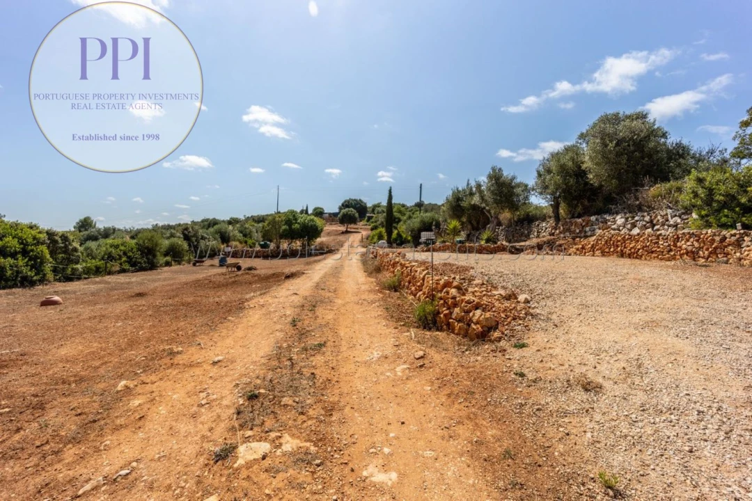 Terreno para Venda em Barão de São Miguel Foto 27