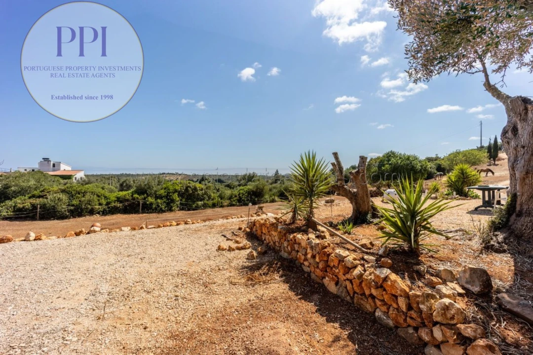 Terreno para Venda em Barão de São Miguel Foto 31