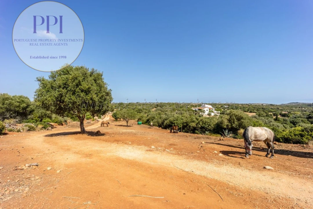 Terreno para Venda em Barão de São Miguel Foto 39