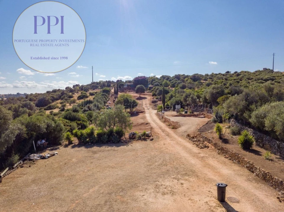 Terreno para Venda em Barão de São Miguel Foto 12