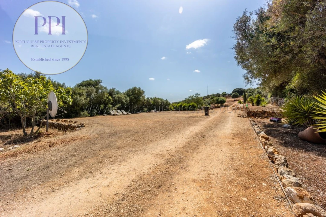 Terreno para Venda em Barão de São Miguel Foto 22
