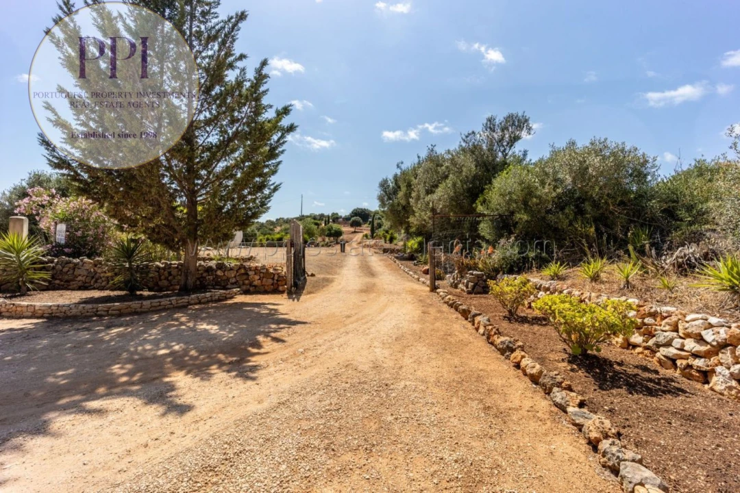 Terreno para Venda em Barão de São Miguel Foto 20