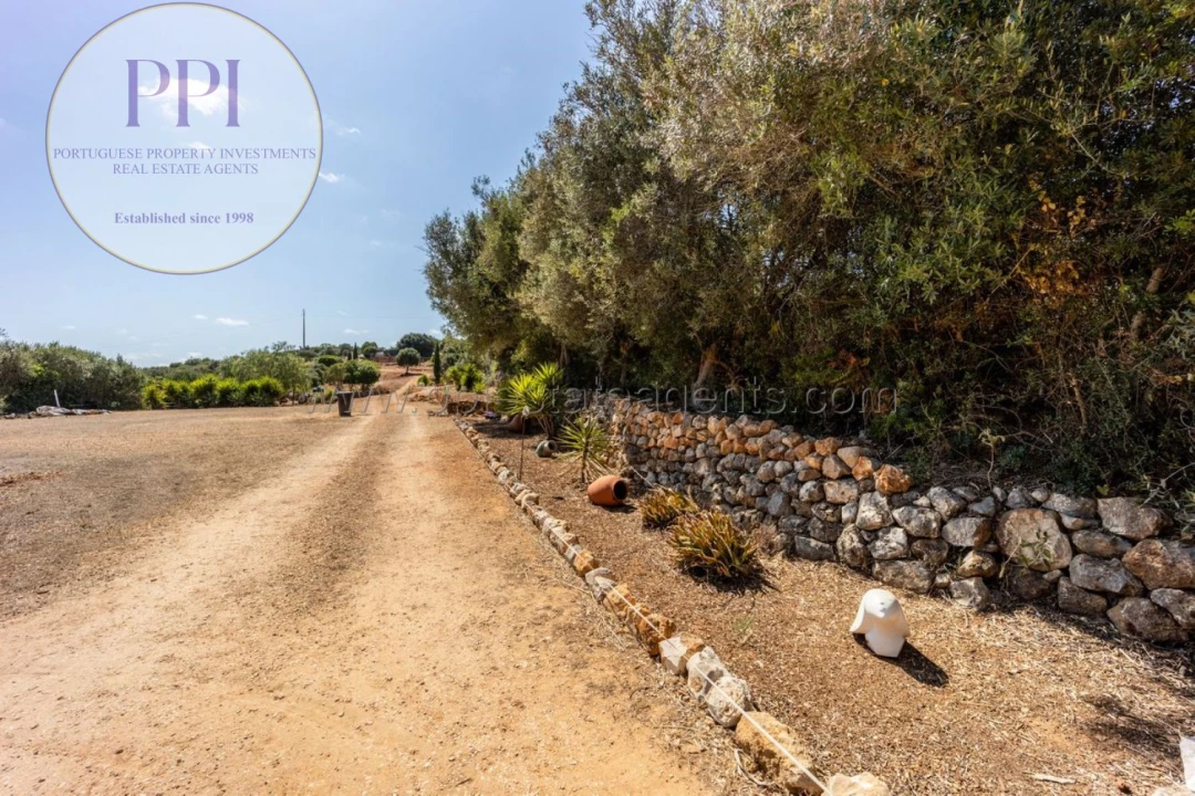 Terreno para Venda em Barão de São Miguel Foto 21
