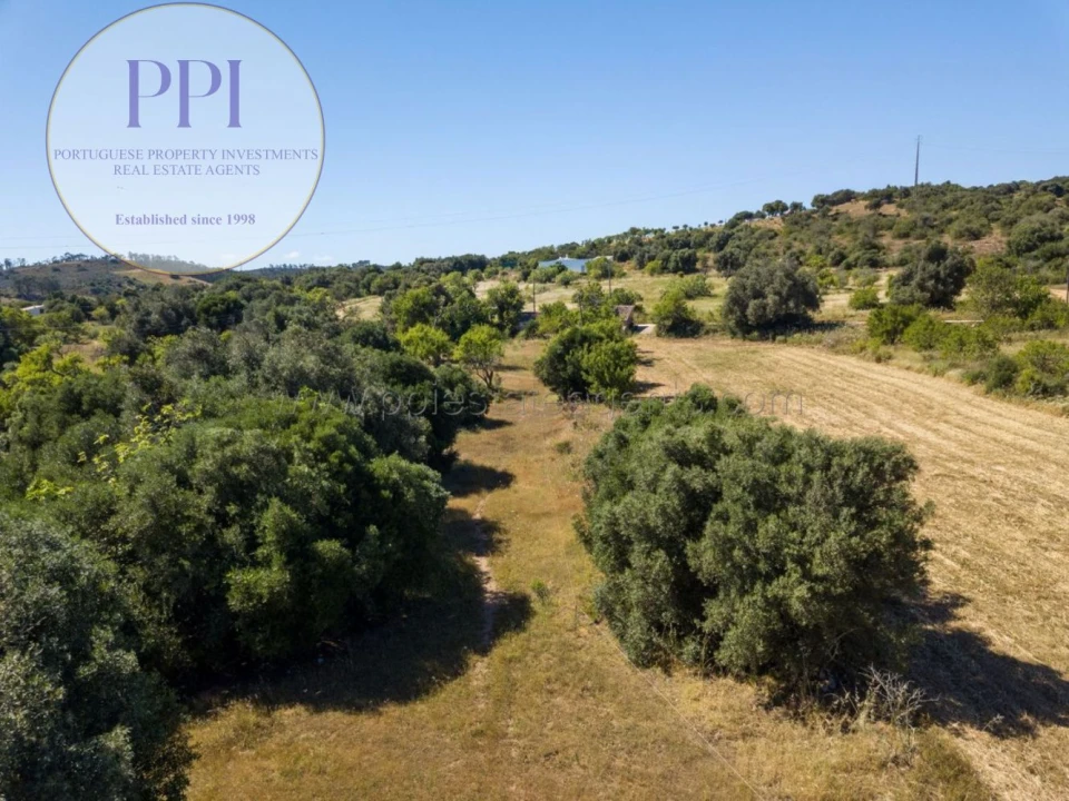 Terreno para Venda em Barão de São Miguel Foto 14