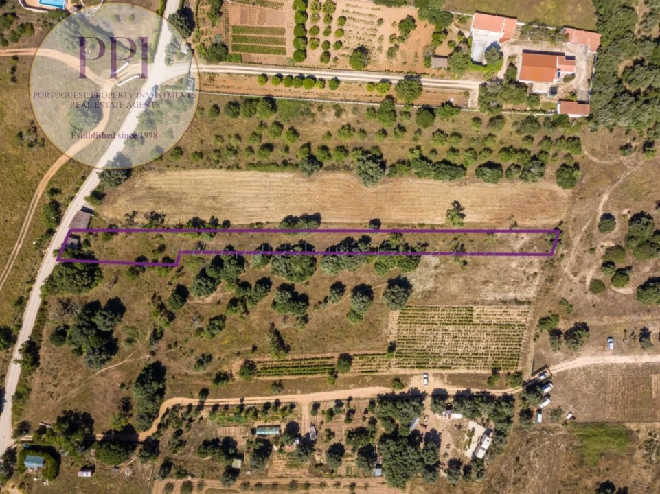 Terreno para Venda em Barão de São Miguel Foto 20