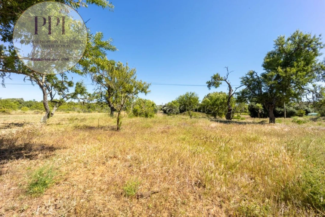 Terreno para Venda em Barão de São Miguel Foto 4