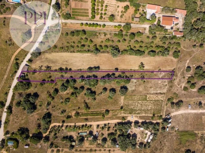 Terreno para Venda em Barão de São Miguel Foto 20