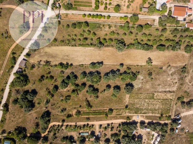 Terreno para Venda em Barão de São Miguel Foto 17
