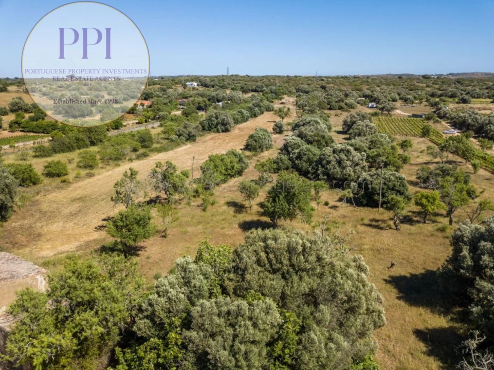 Terreno para Venda em Barão de São Miguel Foto 8